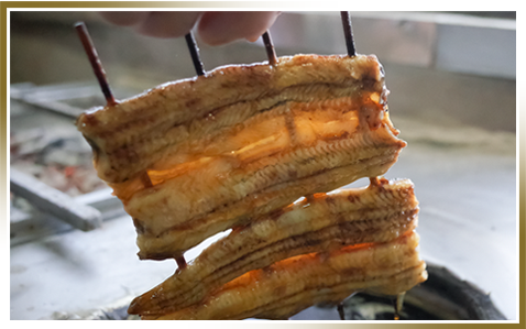 ウナギイメージ1