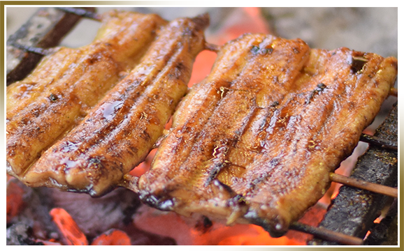 うなぎイメージ2